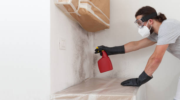 Professional Basement Mold Remediation technician working in Markham, VA