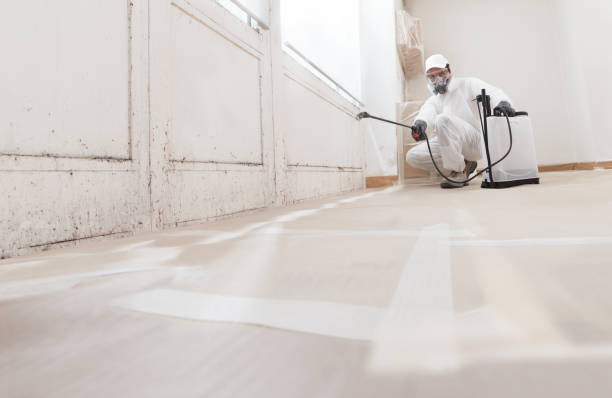 24/7 Emergency Basement Mold Remediation experts in Markham, VA