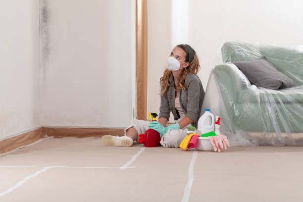 Reliable Basement Mold Remediation contractor in Markham, VA by 24 Hour Mold Removal